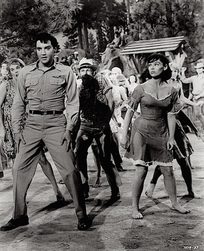 Elvis presley 1964 vintage - presley,